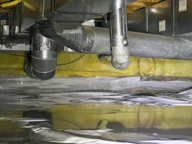 Best Flooded house restoration  in Chico, WA