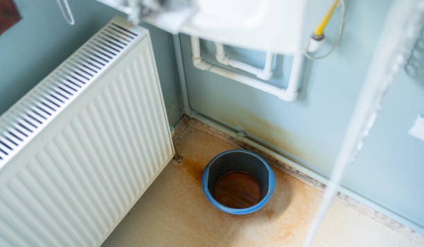 Best Carpet water damage restoration  in Chico, WA