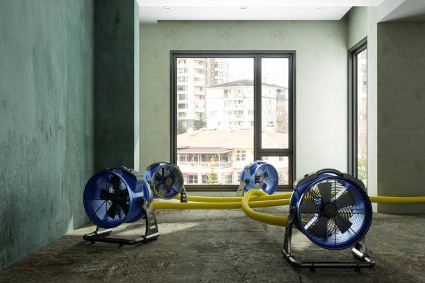 Best 24/7 water damage repair  in Chico, WA